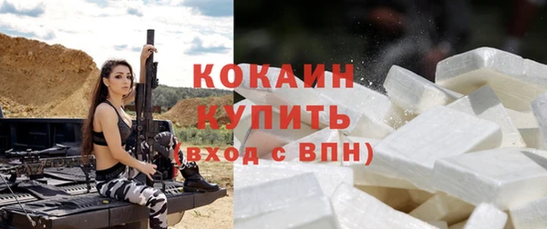 спиды Няндома