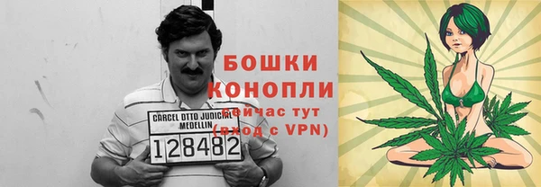 ALPHA PVP Осинники