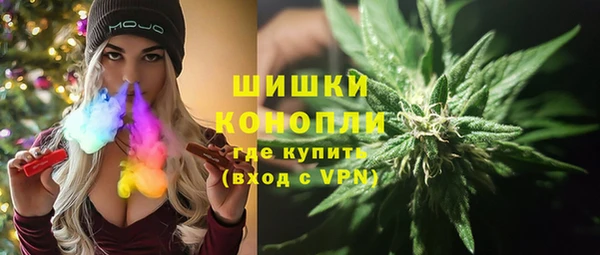 ALPHA PVP Осинники