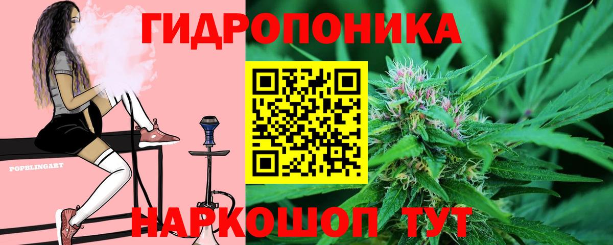Шишки марихуана планчик Ставрополь